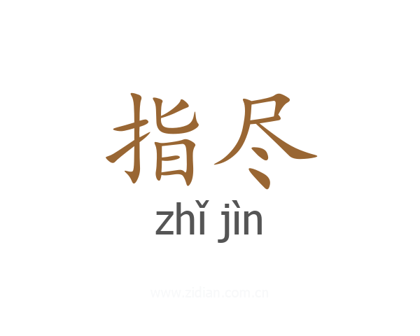 指尽