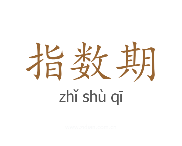 指数期