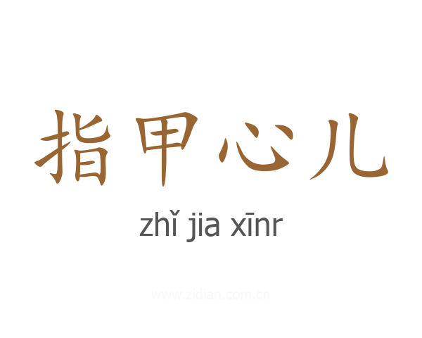 指甲心儿