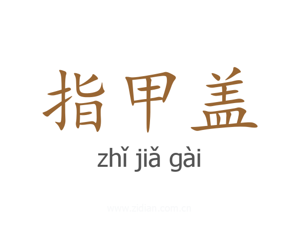 指甲盖