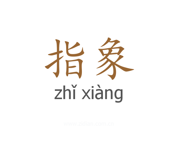 指象