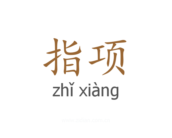 指项