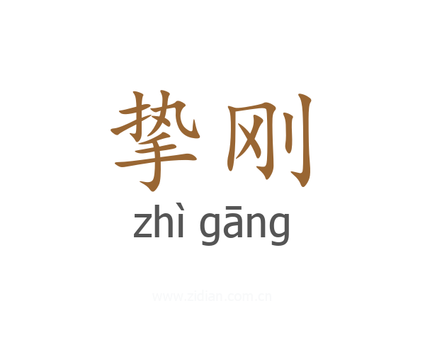 挚刚
