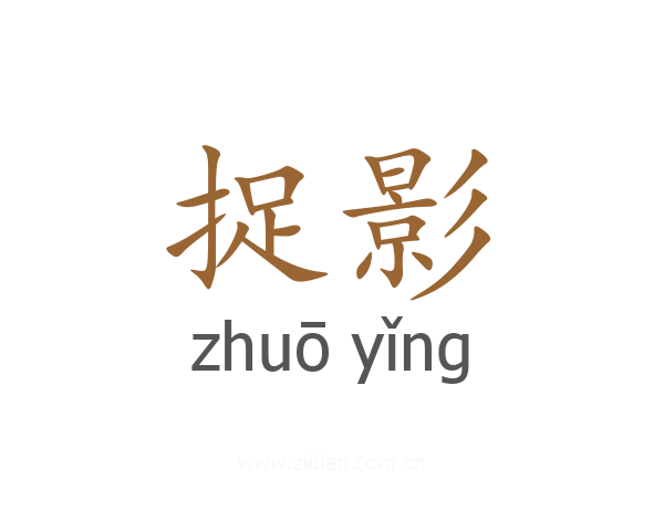 捉影