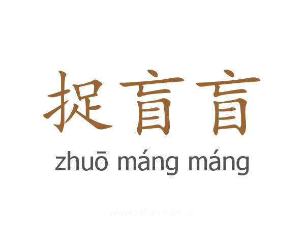 捉盲盲