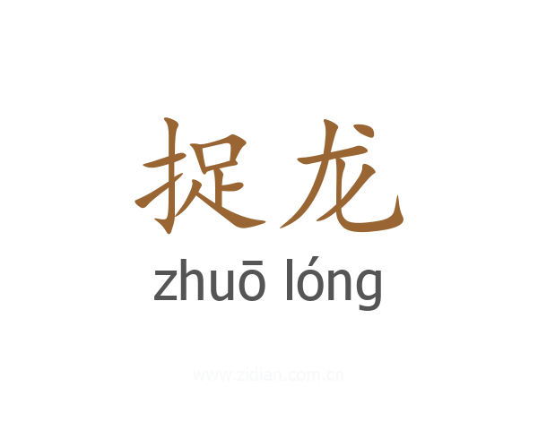 捉龙