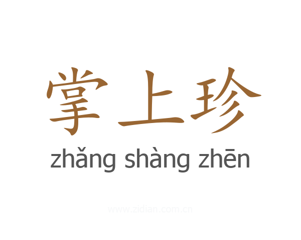 掌上珍
