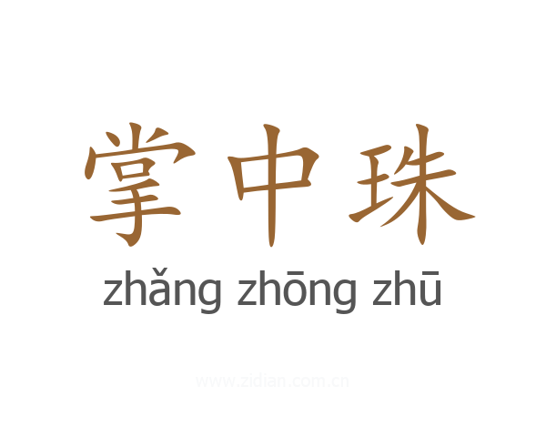 掌中珠