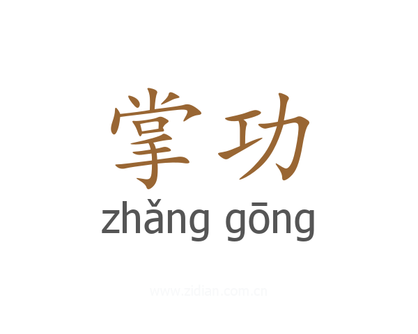 掌功