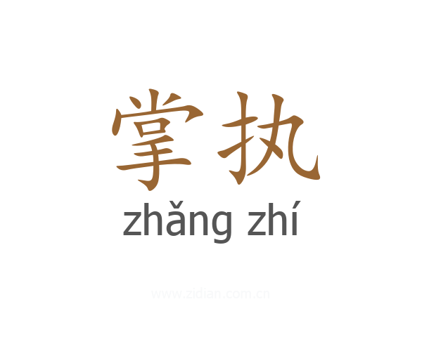 掌执
