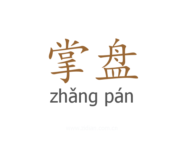 掌盘
