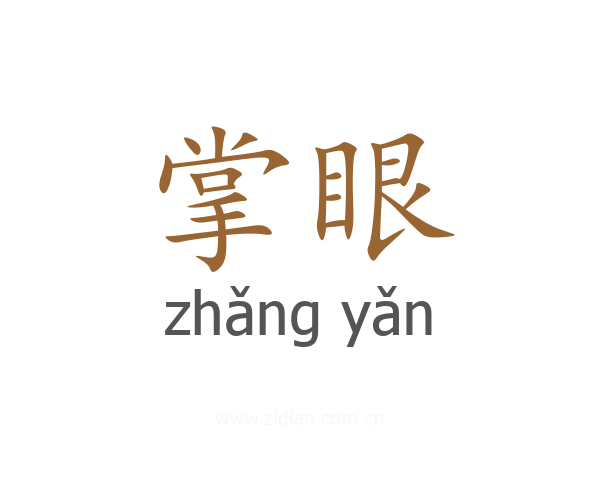 掌眼