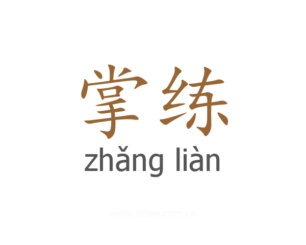 掌练
