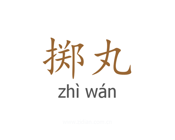 掷丸