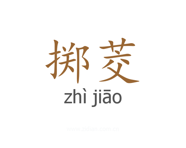掷茭