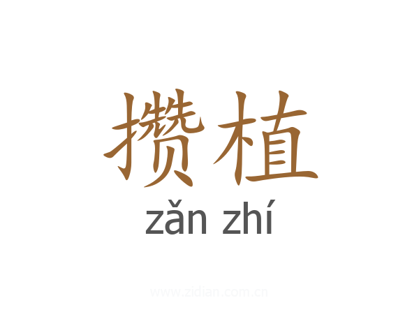 攒植