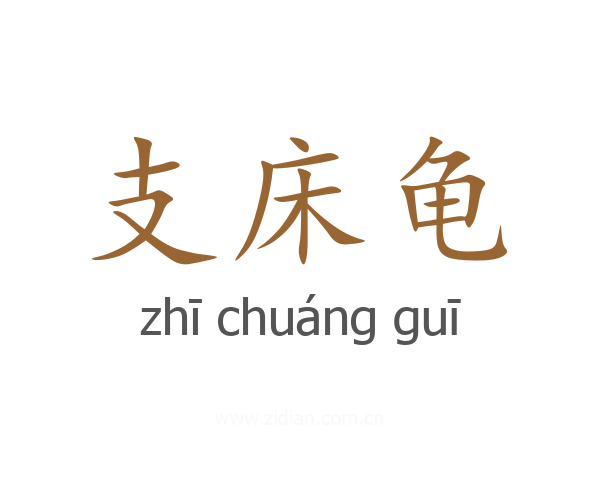 支床龟