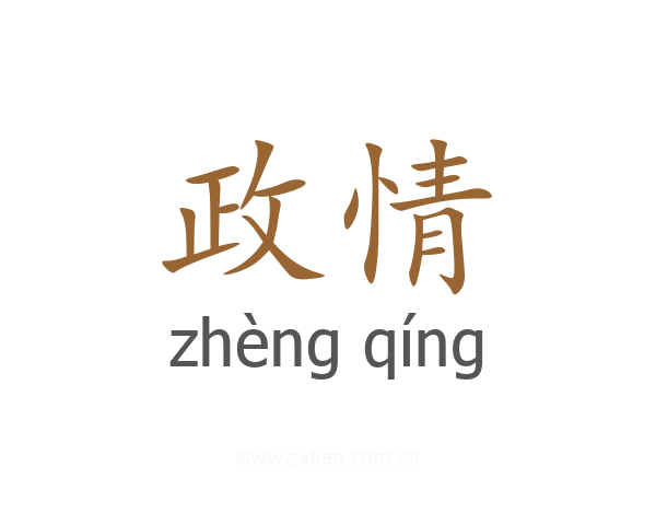 政情