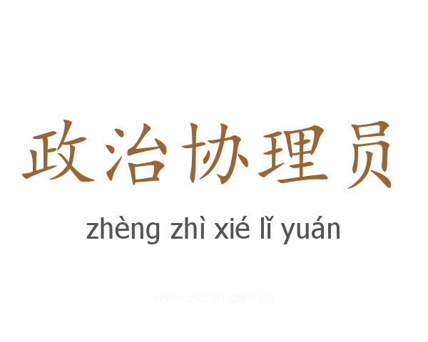 政治协理员
