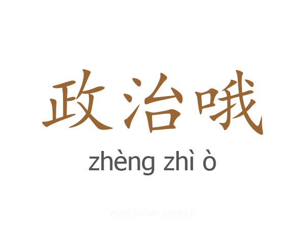 政治哦