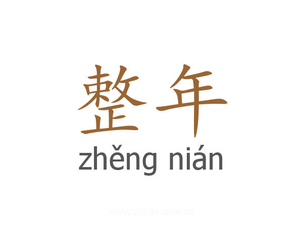 整年