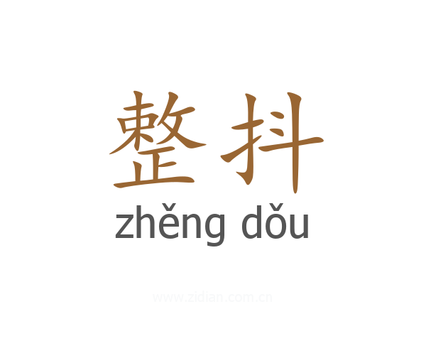整抖