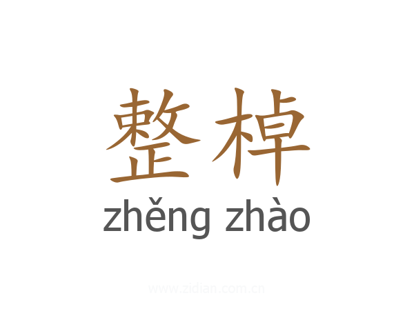 整棹