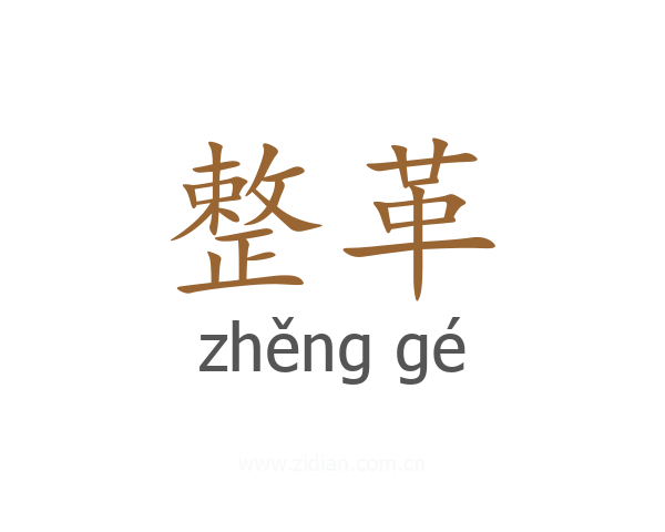 整革
