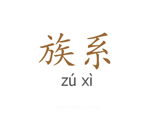 族系