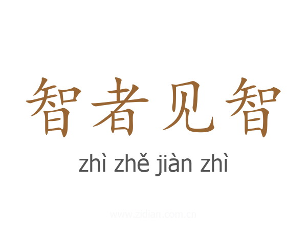 智者见智