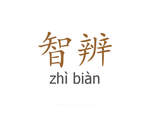 智辨