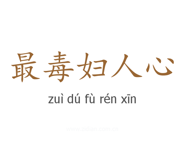 最毒妇人心