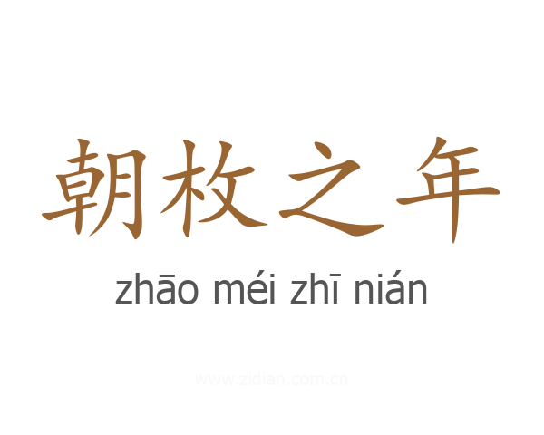 朝枚之年
