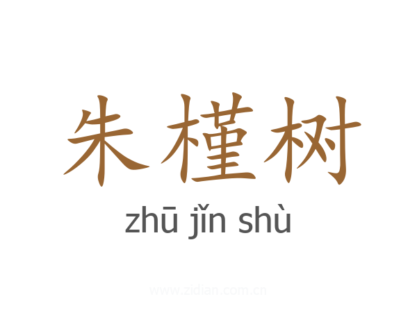 朱槿树