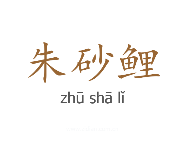 朱砂鲤