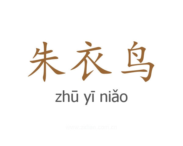 朱衣鸟