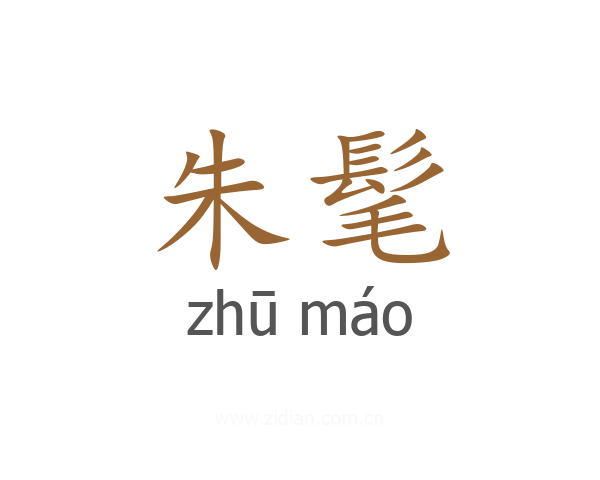 朱髦