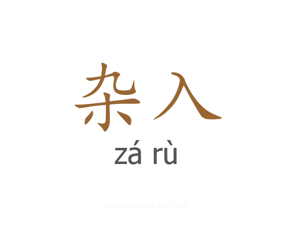 杂入