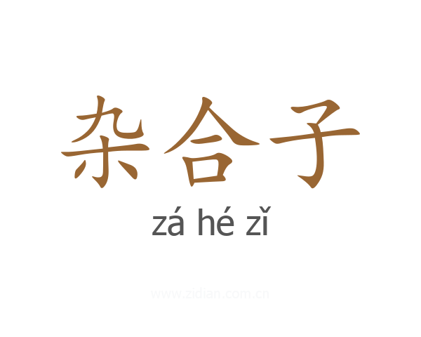 杂合子
