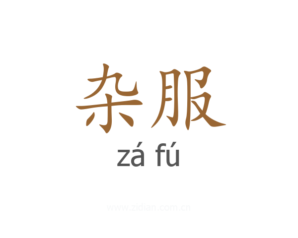 杂服