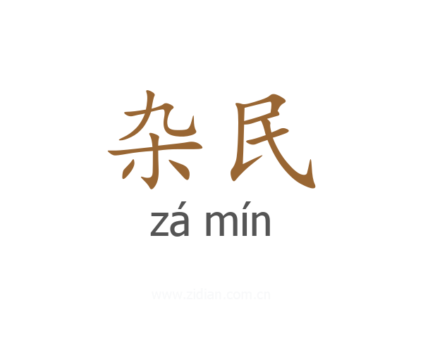 杂民