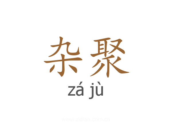 杂聚