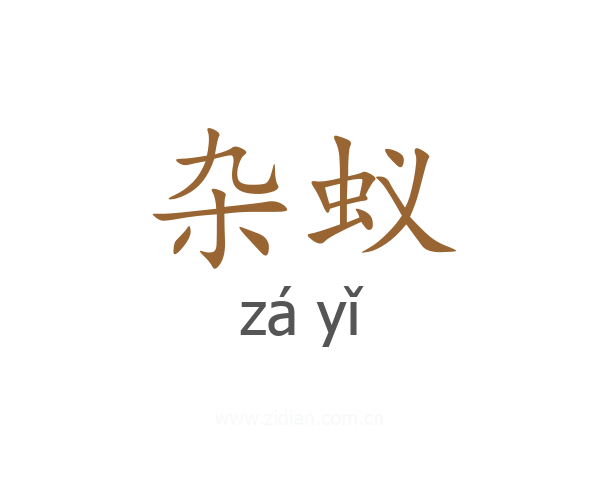 杂蚁