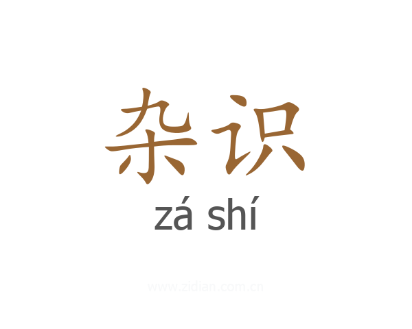 杂识
