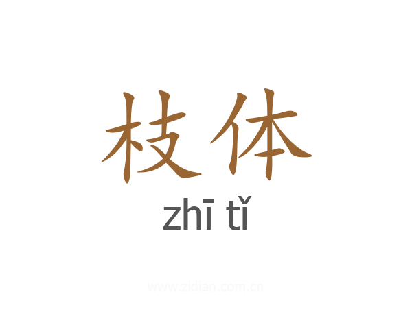 枝体