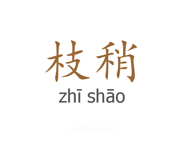 枝稍
