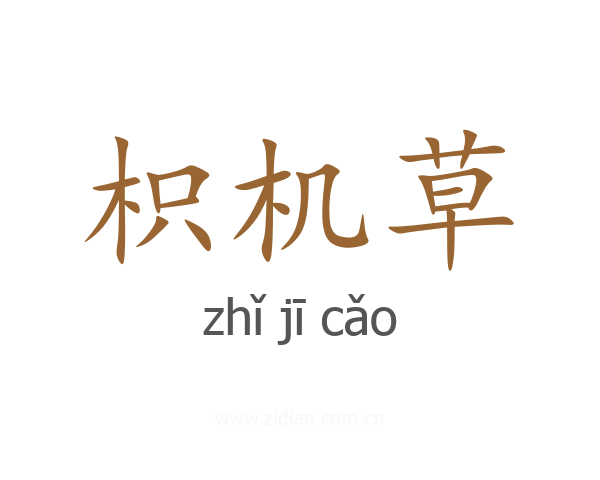 枳机草