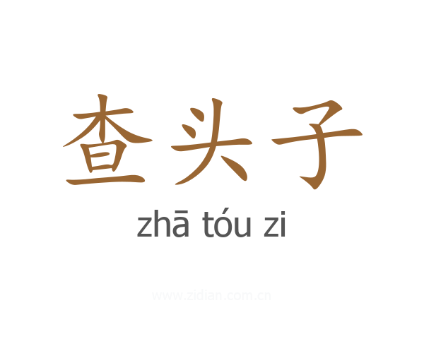 查头子