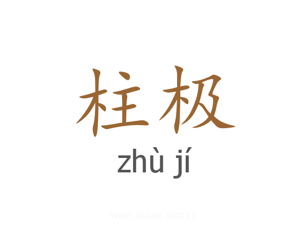柱极