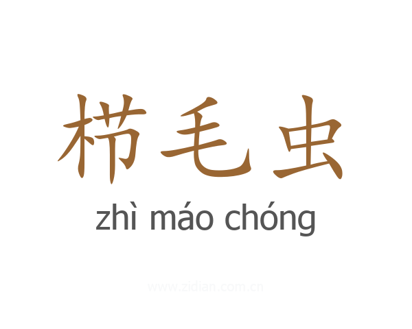 栉毛虫
